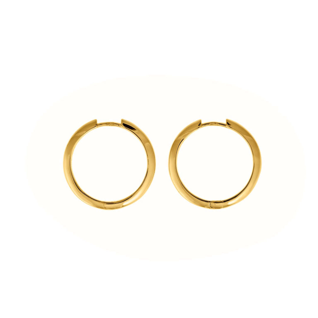 Earrings Plata Hoop Earrings