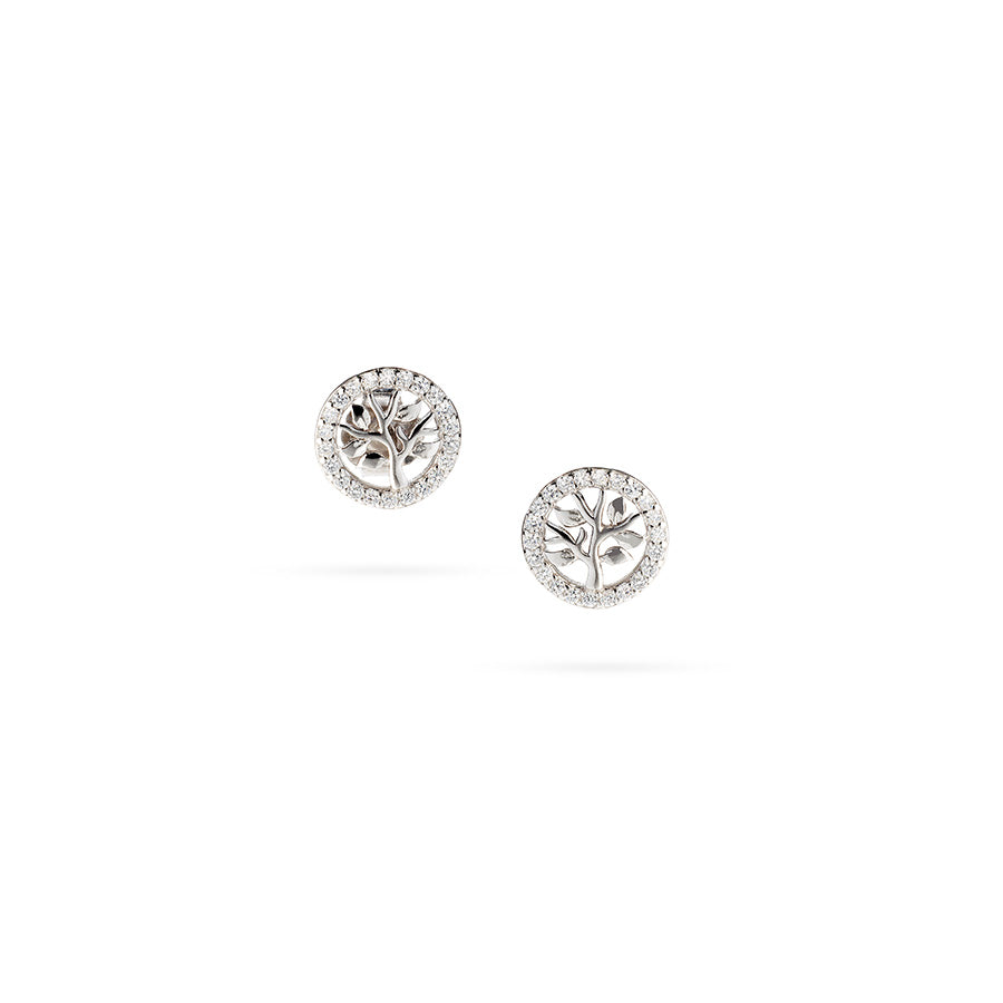 Senso Silver Earrings